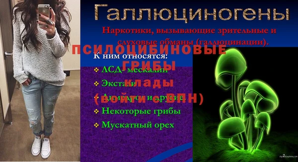 эйфоретик Алзамай