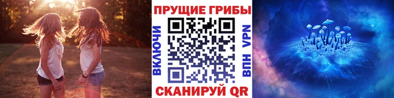 цена наркотик  OMG рабочий сайт  Псилоцибиновые грибы Psilocybe  Находка 