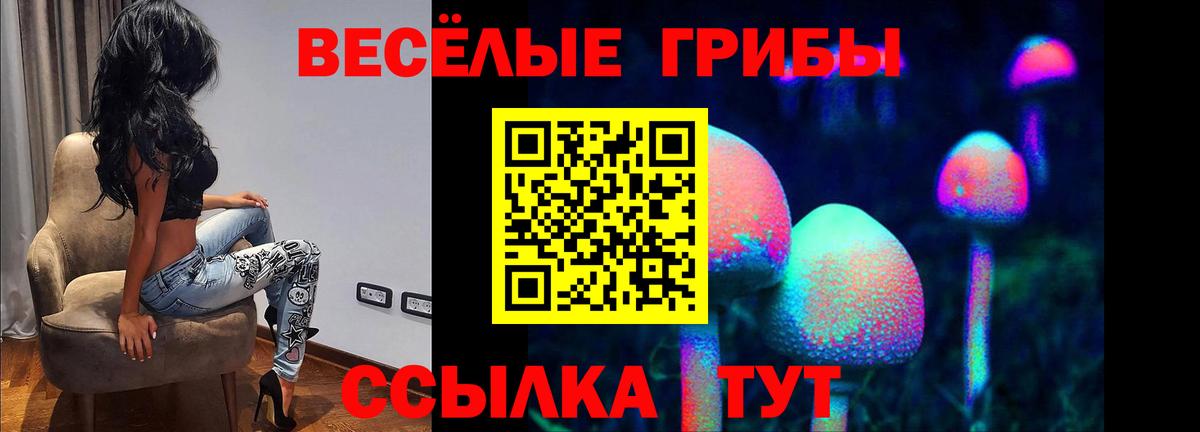 Находка  Галлюциногенные грибы Psilocybe  наркота  Вход с VPN 